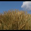 20140805_016